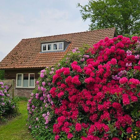 Holiday Home Countryside, Langbroek / Doorn Kültér fotó