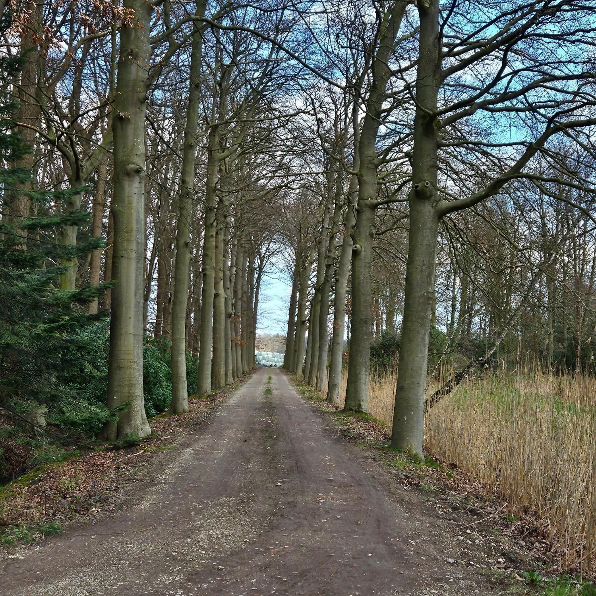 Holiday Home Countryside, Langbroek / Doorn Kültér fotó