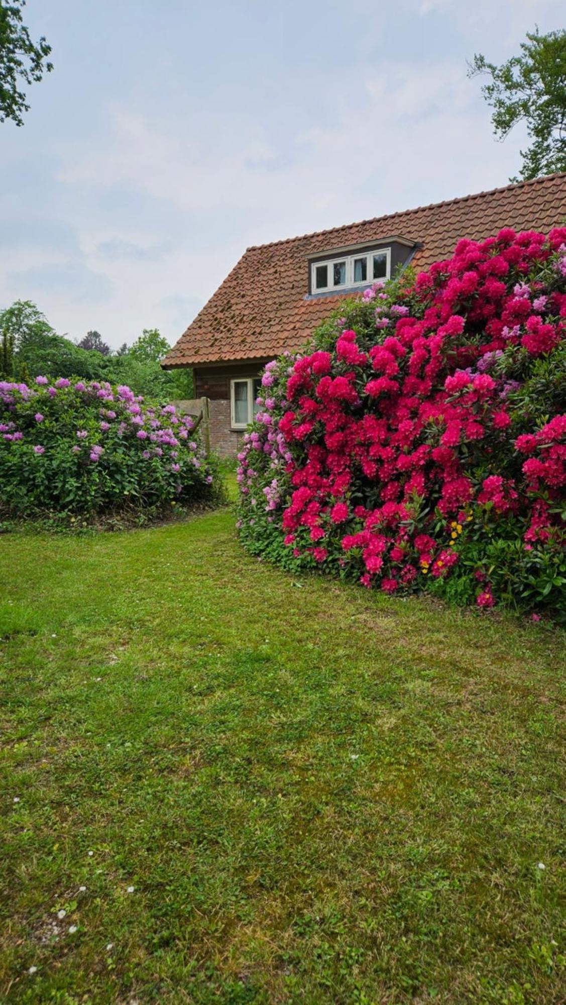 Holiday Home Countryside, Langbroek / Doorn Kültér fotó