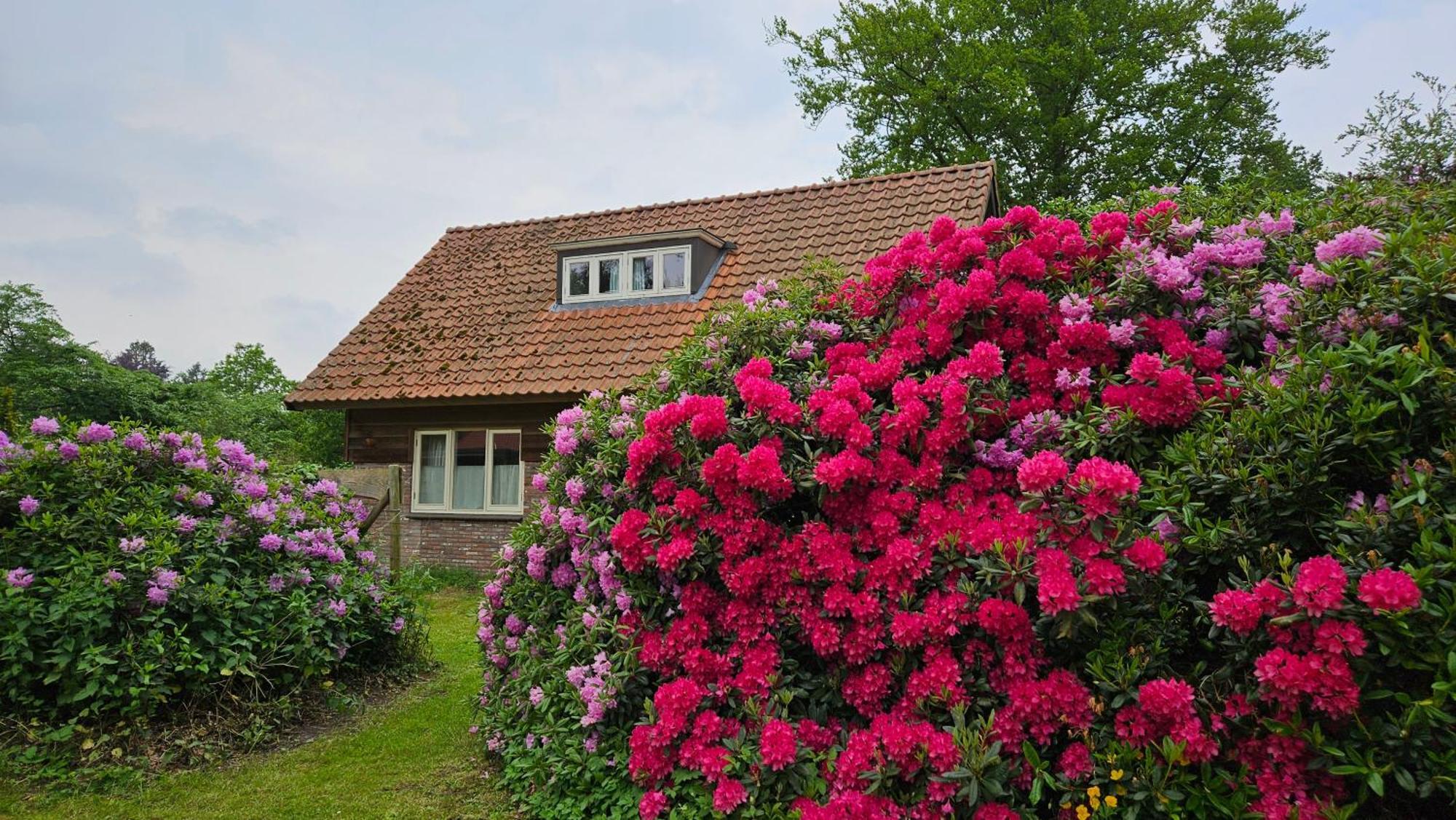 Holiday Home Countryside, Langbroek / Doorn Kültér fotó